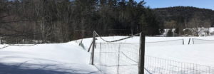 Snow on tennis courts